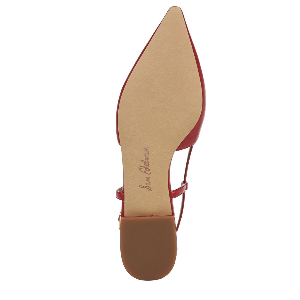 Cohen Slingback Pointed Toe Flat
