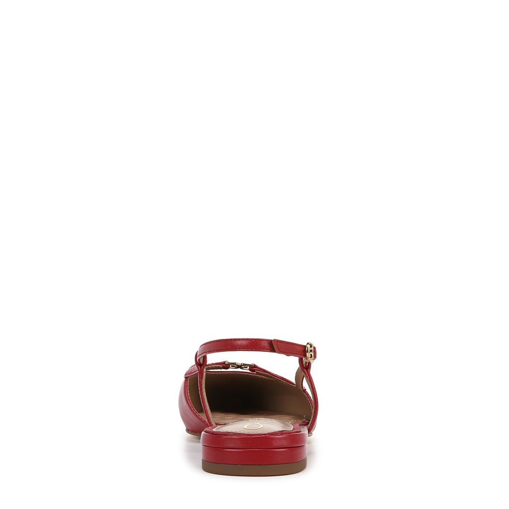 Cohen Slingback Pointed Toe Flat